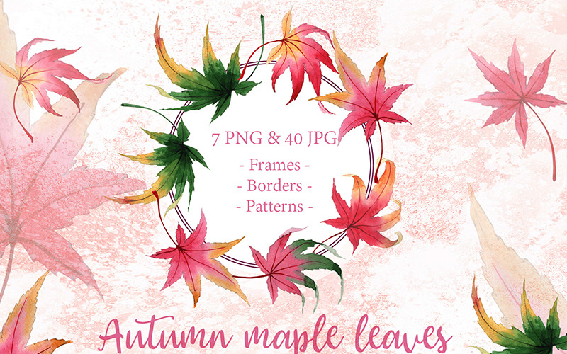 秋天的枫叶PNG水彩画创意套装-光栅插图