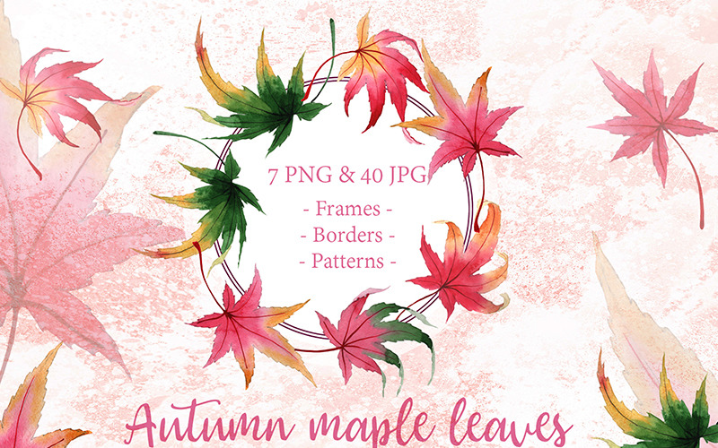 Download Иллюстрация "Autumn Maple Leaves PNG Watercolor Creative Set - Illustration" / Autumn Maple Leaves PNG Watercolor Creative Set - Illustration - Иллюстрация на тему графика watercolor illustration foliage leaves maple tree stem botanical garden floral drawing background colorful drawn paint leaf plant wildflower seasonal png
