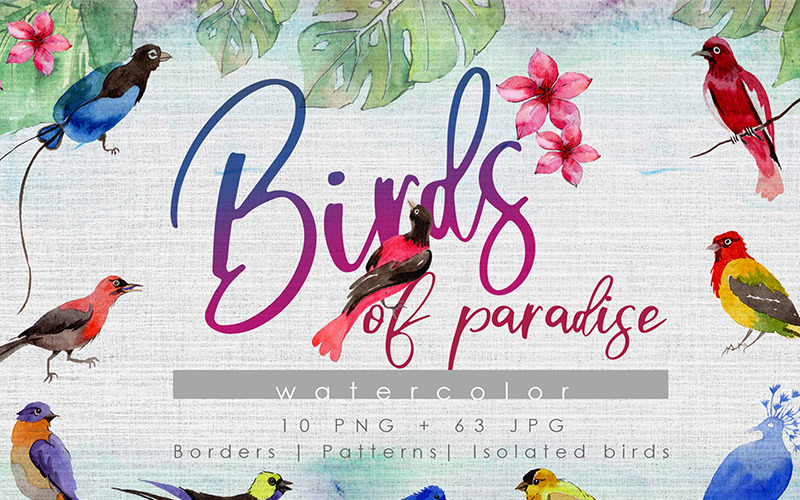 Download Иллюстрация "Birds Of Paradise PNG Watercolor Creative Set - Illustration" / Birds Of Paradise PNG Watercolor Creative Set - Illustration - Иллюстрация на тему графика watercolor illustration bird flight parrot flying flock wings fly wild freedom soar soaring sky paradise wildlife feather drawing background colorful
