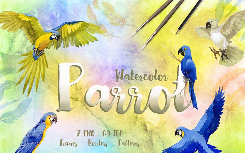 Download Иллюстрация "Watercolor Cool Parrot PNG Bird Creative Set - Illustration" / Watercolor Cool Parrot PNG Bird Creative Set - Illustration - Иллюстрация на тему графика watercolor illustration bird flight parrot flying flock wings fly wild freedom soar soaring sky wildlife feather drawing background colorful drawn