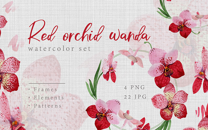 Aquarel rode orchidee Wanda PNG creatieve Set - illustratie