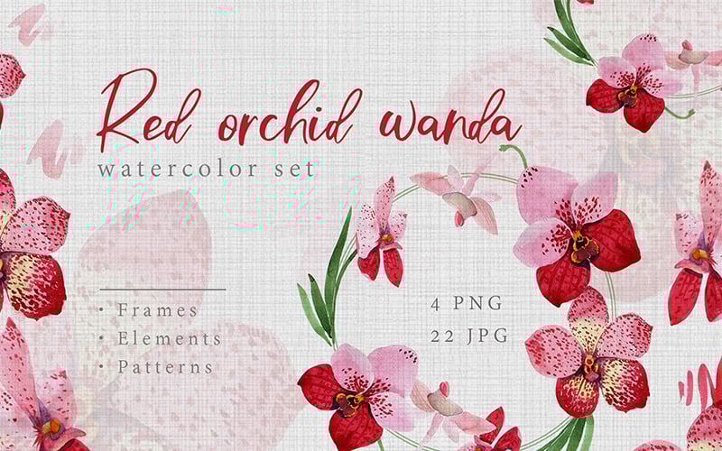 Download Иллюстрация "Watercolor Red Orchid Wanda PNG Creative Set - Illustration" / Watercolor Red Orchid Wanda PNG Creative Set - Illustration - Иллюстрация на тему графика watercolor illustration delicate drawing background colorful drawn paint leaf seasonal flower sprout stem textile red orchid wanda flora decoration petal