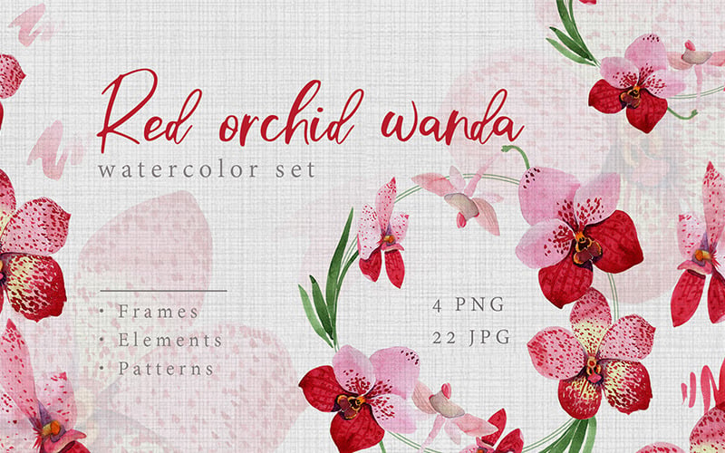 Watercolor Red Orchid Wanda PNG Creative Set - Illustration