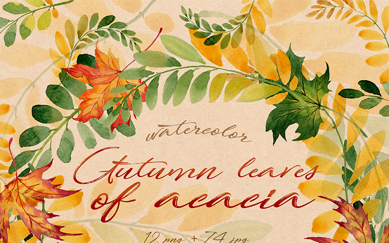 Őszi levelek akác PNG akvarell készlet - illusztráció