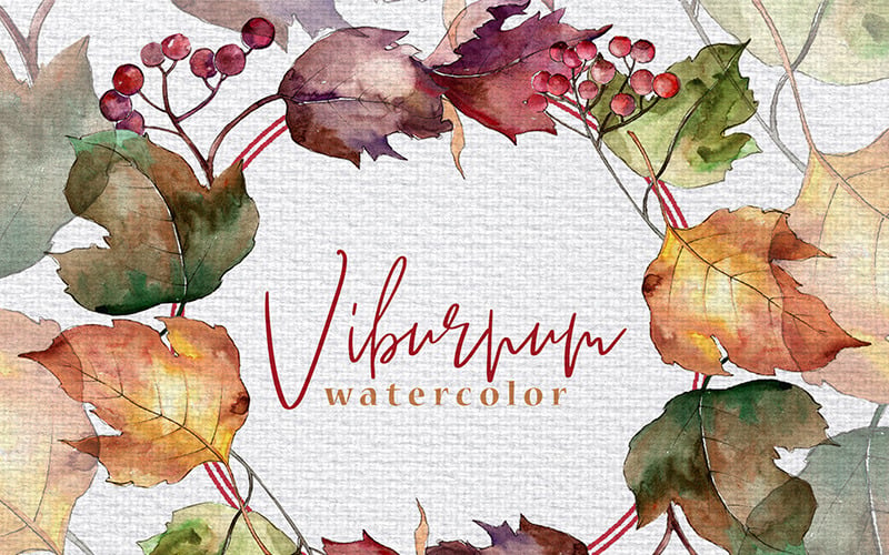 Autumn Viburnum Leaves PNG Watercolor Set - Illustration
