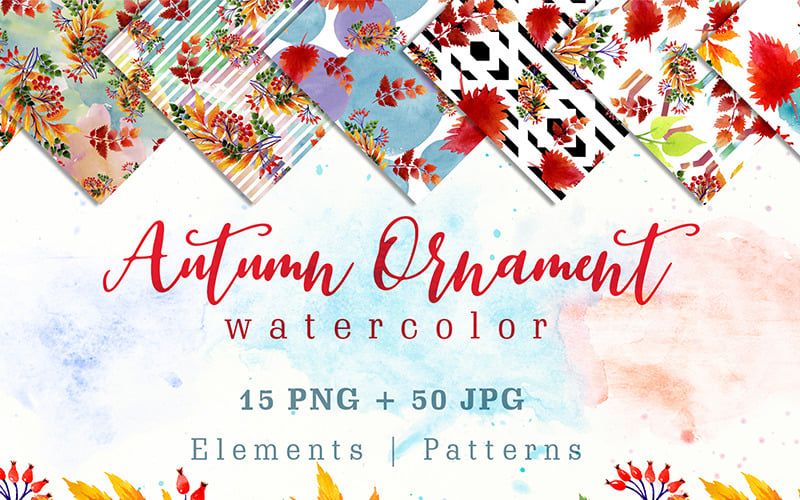 Cool herfst Ornament PNG aquarel Set - illustratie