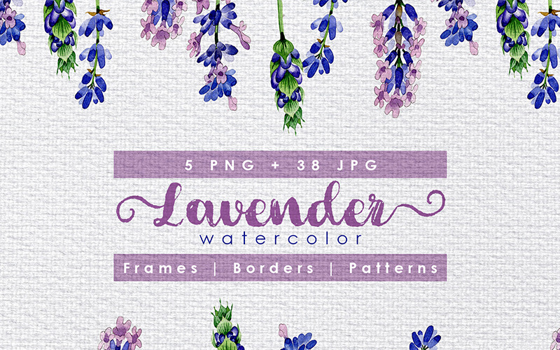 Свято фіолетові квіти лаванди PNG аквареллю набір - ілюстрація