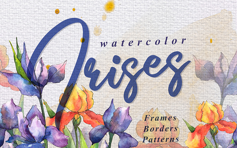Orange And Purple Irises PNG Watercolor Set - Illustration