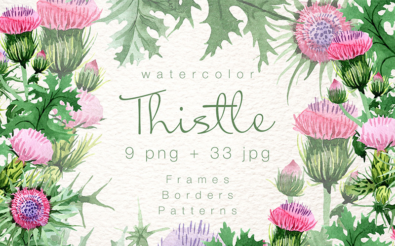 Cool Thistle PNG Watercolor Set - Illustration