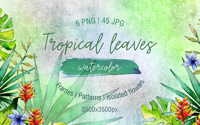 Download Иллюстрация "Green Tropical Leaves PNG Watercolor Set - Illustration" / Green Tropical Leaves PNG Watercolor Set - Illustration - Иллюстрация на тему графика watercolor foliage stem garden branch illustration tropical tropic hawaii summer plant leaf leaves floral palm beach tree hawaiian succulent exotic