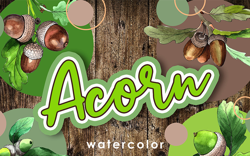 Acorn Plant PNG akwarela Creative zestaw - ilustracja