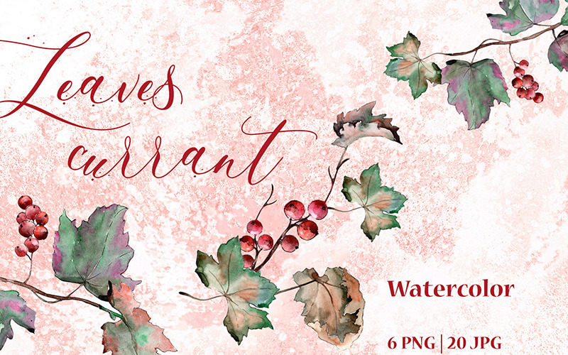 Download Иллюстрация "Leaves Currant PNG Watercolor Set - Illustration" / Leaves Currant PNG Watercolor Set - Illustration - Иллюстрация на тему графика background texture isolated leaf leaves watercolor currant wallpaper illustration green pattern fashion plant vintage floral tree hand drawing ornament garden