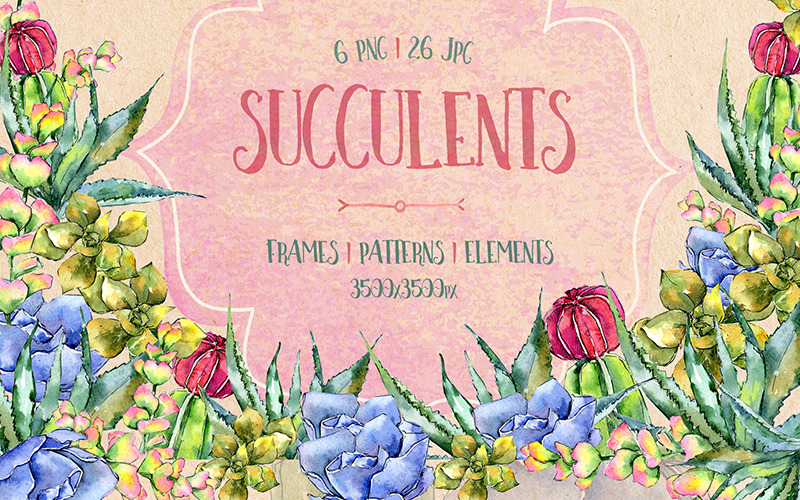 Sukkulenten PNG Aquarell Set - Illustration