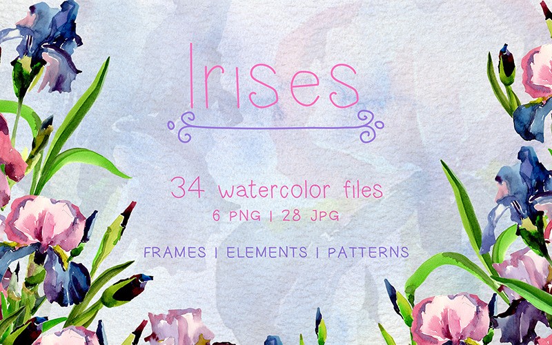 Tender Irises PNG Akvarelluppsättning - Illustration