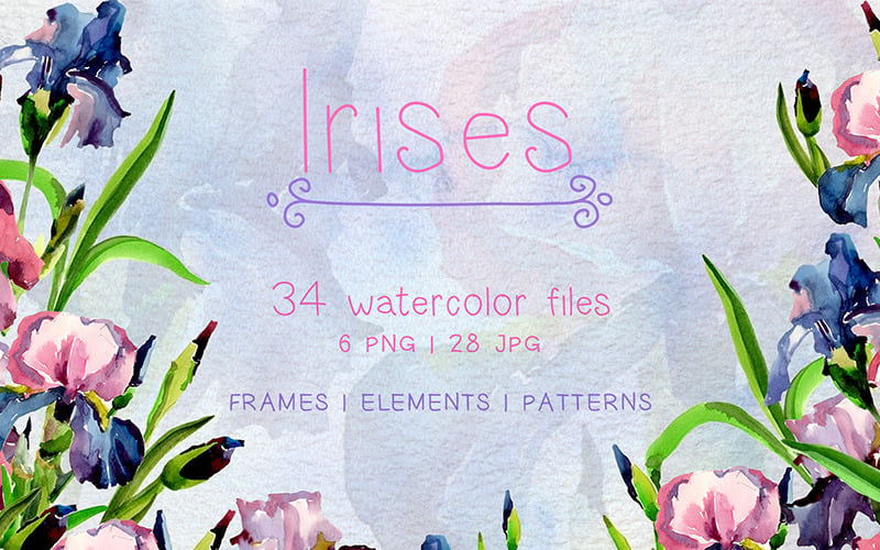 Tender Irises PNG Watercolor Set - Illustration