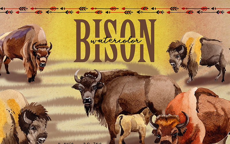 Bison exotique animaux Sauvages PNG Aquarelle Set - Illustration