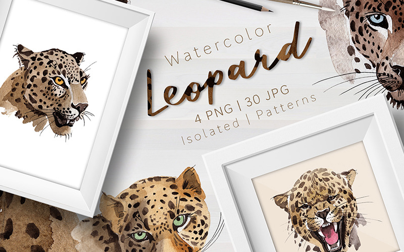 Leopardo PNG Acuarela Set - Ilustración