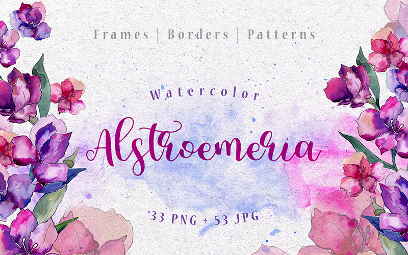 Púrpura Alstroemeria PNG Acuarela Set - Ilustración