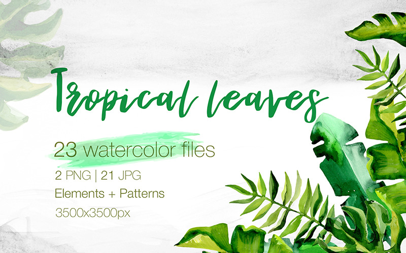 Succulent Tropical Leaves PNG Watercolor Set - Illustration