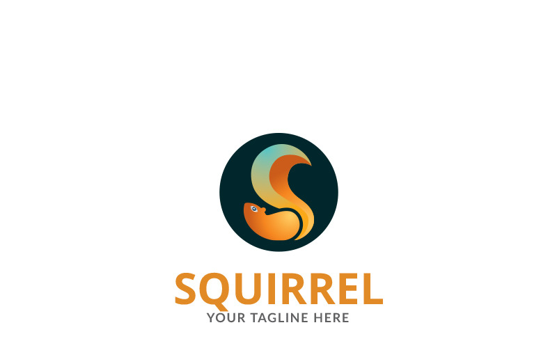 Modelo de logotipo de cor de esquilo