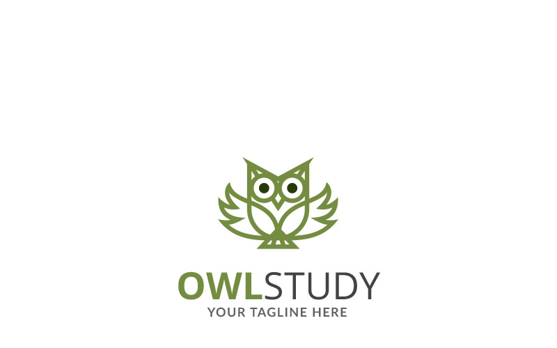 Modelo de logotipo de estudo de coruja