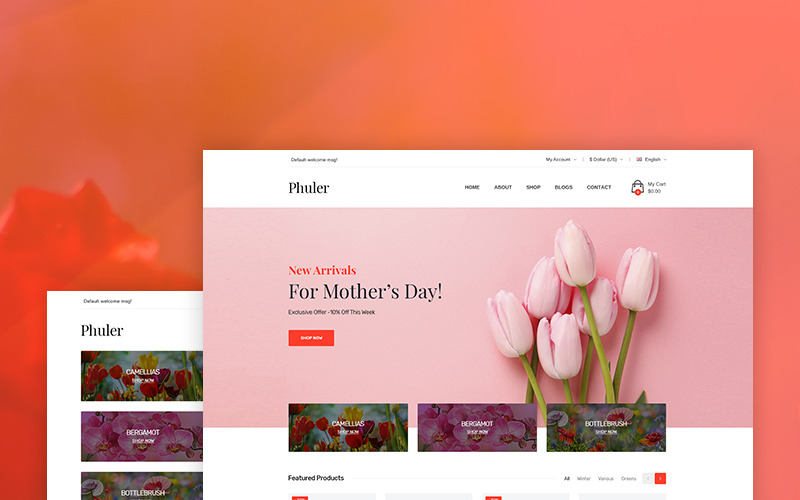 Phuler - Bloemenwinkel WooCommerce-thema