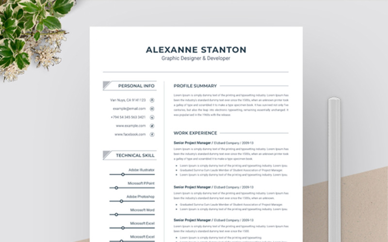 Alexanne Stanton Clean Resume Template