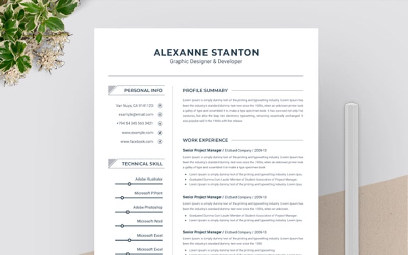 Alexanne Stanton清洁简历模板