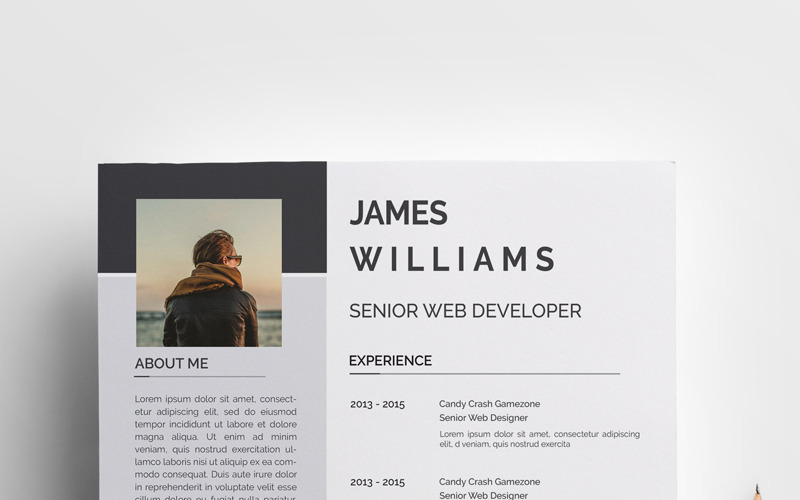 Modello di curriculum Williams Clean