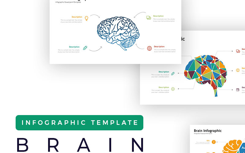 Презентація мозку - шаблон інфографіки PowerPoint