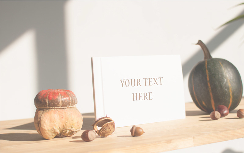 Download Мокап для продукта "Autumn Journey Mockups & Photos Bundle product mockup" / Autumn Journey Mockups & Photos Bundle product mockup - Мокап для продукта на тему графика autumn journey mockups photos bundle