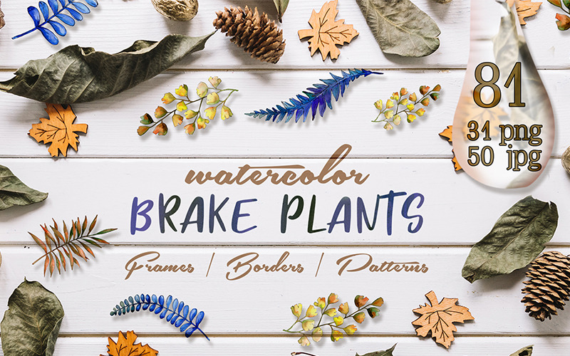 Download Иллюстрация "Brake Plants PNG Watercolor Set - Illustration" / Brake Plants PNG Watercolor Set - Illustration - Иллюстрация на тему графика background leaf botanical isolated plant illustration floral garden fern texture foliage leaves brake set watercolor element vintage forest paint branch