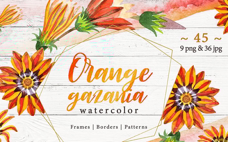 Download Иллюстрация "Cool Orange Gazania PNG Watercolor Set - Illustration" / Cool Orange Gazania PNG Watercolor Set - Illustration - Иллюстрация на тему графика watercolor illustration orange gazania drawing background drawn paint leaf plant wildflower seasonal cool foliage flower sprout stem textile botanical garden