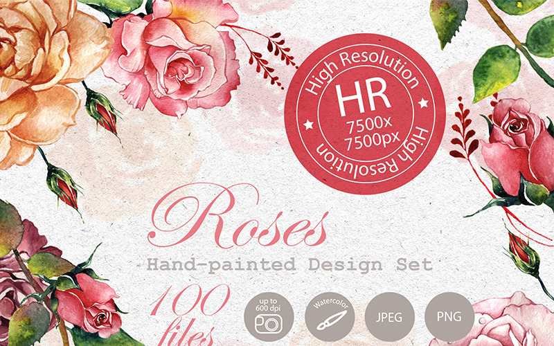Atemberaubende Rosen PNG Aquarell Set - Illustration