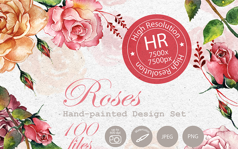 Impresionante Rosas PNG Acuarela Set - Ilustración