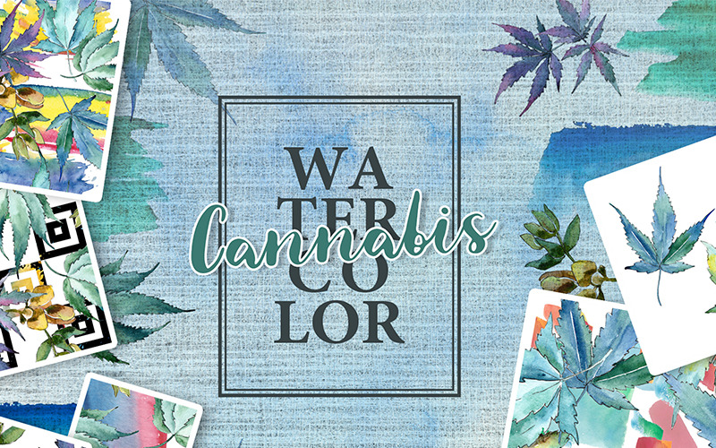 Download Иллюстрация "Watercolor Cannabis - Leaves Set - Illustration" / Watercolor Cannabis - Leaves Set - Illustration - Иллюстрация на тему графика watercolor illustration cannabis drawing background colorful drawn paint leaf plant wildflower seasonal green foliage stem textile botanical garden floral blue