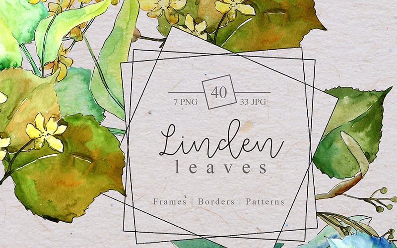 Watercolor Linden Leaves PNG set - Illustration