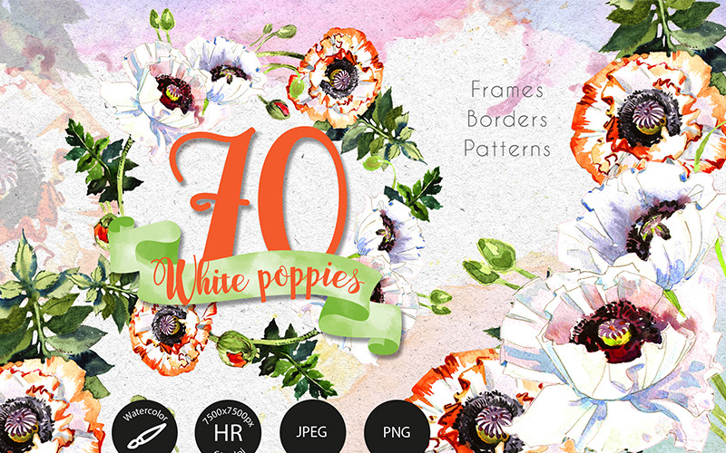 Download Иллюстрация "White Poppies PNG Watercolor Set - Illustration" / White Poppies PNG Watercolor Set - Illustration - Иллюстрация на тему графика watercolor white illustration delicate drawing background textile poppy drawn paint leaf plant wildflower deciduous foliage flower sprout stem botanical garden