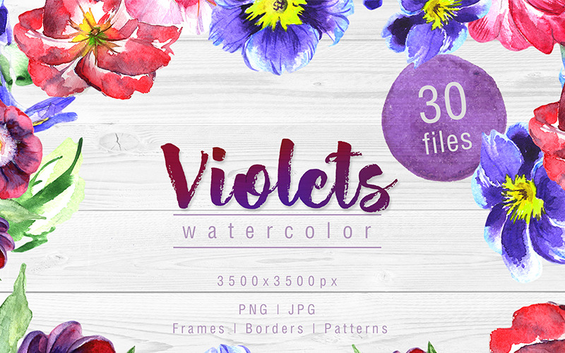 Download Иллюстрация "Cool Violets PNG Watercolor Flower Set - Illustration" / Cool Violets PNG Watercolor Flower Set - Illustration - Иллюстрация на тему графика watercolor illustration delicate drawing background textile colorful violet drawn paint leaf plant wildflower seasonal foliage flower sprout stem botanical garden
