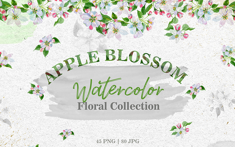 Conjunto de aquarela PNG de flor de maçã - ilustração
