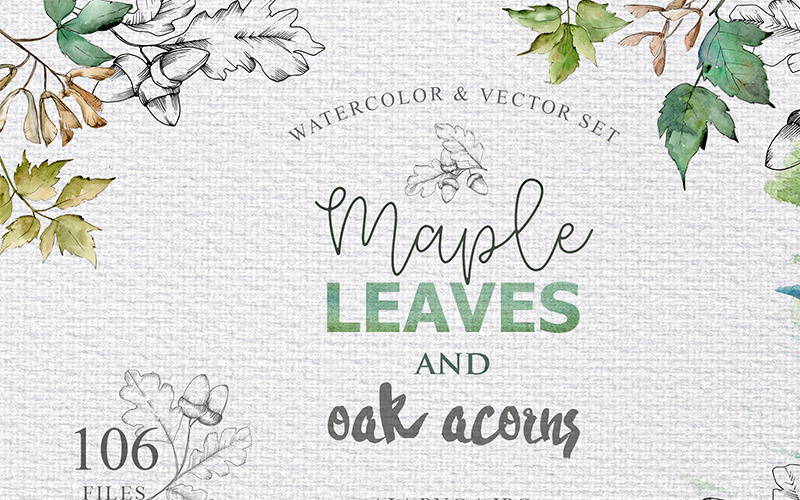Download Иллюстрация "Maple Leaves and Oak Acorns Set - Illustration" / Maple Leaves and Oak Acorns Set - Illustration - Иллюстрация на тему графика watercolor illustration autumn maple leaves oak acorns drawing background colorful drawn paint leaf plant green seasonal foliage vector sprout stem