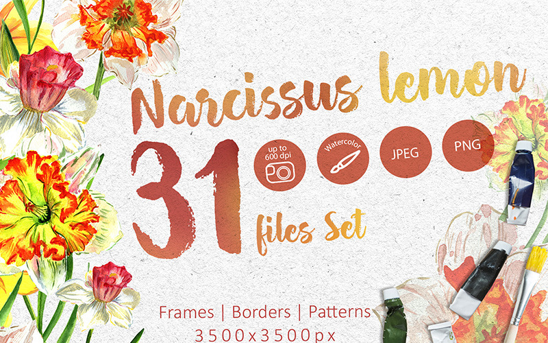 Download Иллюстрация "Narcissus Lemon PNG Watercolor Flower Set - Illustration" / Narcissus Lemon PNG Watercolor Flower Set - Illustration - Иллюстрация на тему графика watercolor narcissus illustration delicate drawing png background textile yellow drawn paint leaf plant wildflower seasonal deciduous foliage flower sprout stem