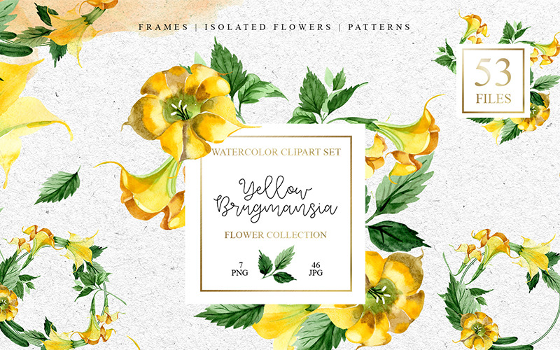 Download Иллюстрация "Yellow Brugmansia PNG Watercolor Set - Illustration" / Yellow Brugmansia PNG Watercolor Set - Illustration - Иллюстрация на тему графика watercolor illustration yellow brugmansia drawing background colorful drawn paint leaf plant wildflower seasonal foliage flower sprout stem textile botanical garden