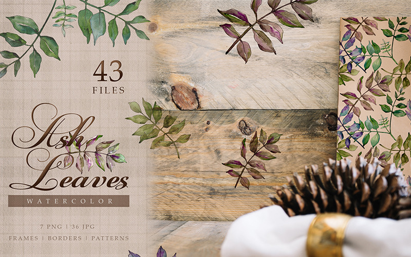 Download Иллюстрация "Ash Leaves PNG Watercolor Set - Illustration" / Ash Leaves PNG Watercolor Set - Illustration - Иллюстрация на тему графика watercolor illustration leaves drawing background ash colorful drawn paint autumn leaf plant wildflower seasonal foliage flower sprout stem textile botanical