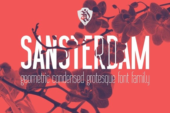 Sansterdam Bold and Thin Font