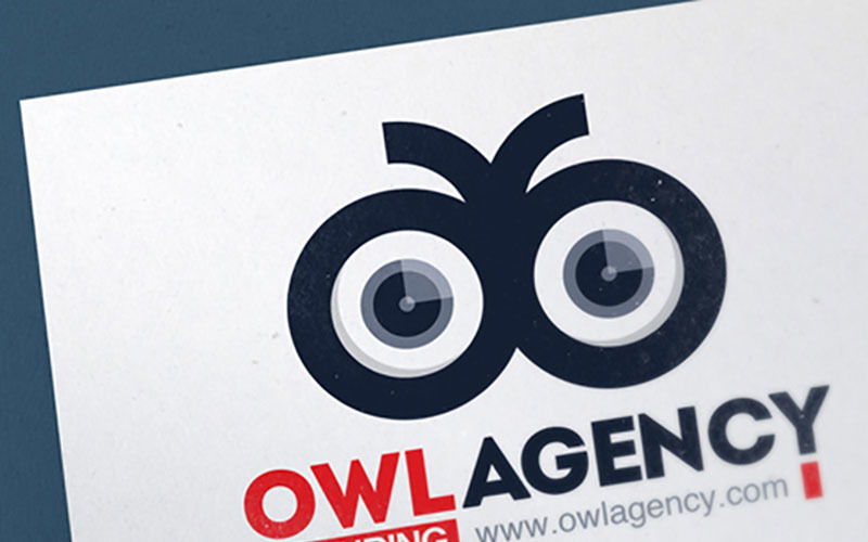 Bird Eye Logo Template