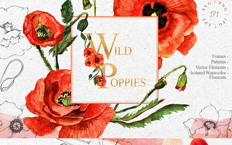 Czerwone maki kwiaty EPS | SVG | PNG | JPG - ilustracja
