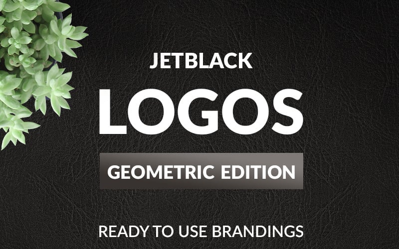 30 logotipos prefabricados - plantilla de logotipo de edición geométrica