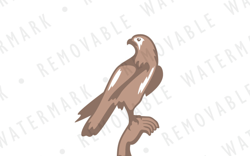 Download Шаблон логотипа "Bird of Prey Logo Template" / Bird of Prey Logo Template - Шаблон логотипа на тему графика animal,art,eagle,wild,bird,illustration,falcon,hawk,hunt,logo,design,template,predator,falconry,hunting,veterinary,resort,outdoor,zoo,hotel