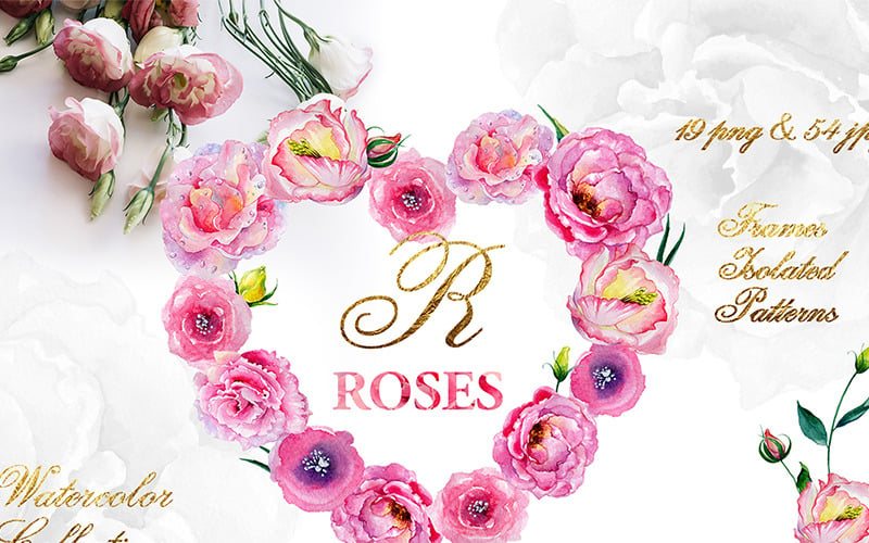 Różowe Róże Akwarela Png - Ilustracja